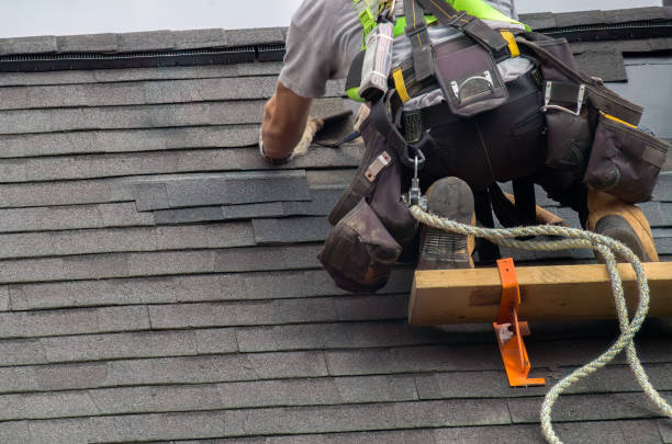 Roof Gutter Cleaning in Aurora, IL