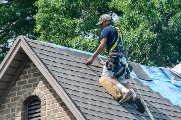 Best New Roof Installation  in Aurora, IL
